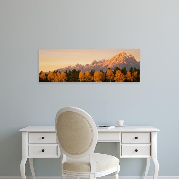 Easy Art Prints Panoramic Image 'Aspen trees, Mountainside, Teton Range, Grand Teton Park, Wyoming' Canvas Art