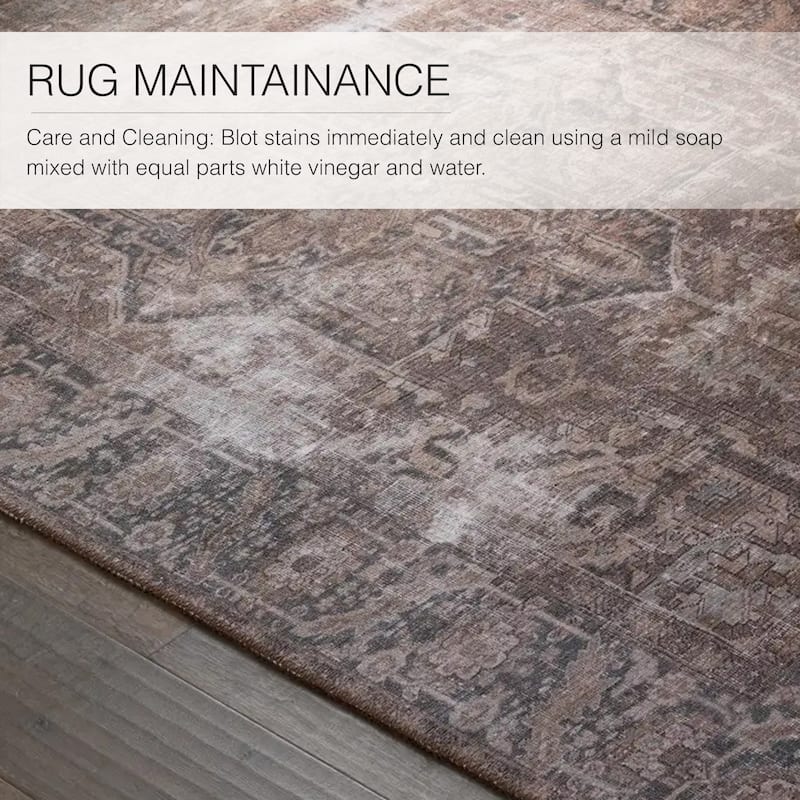 Minita Machine Washable Medallion Area Rug