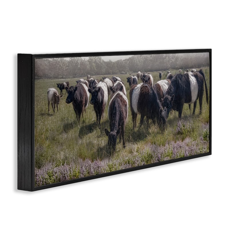 Stupell Black Cows Grazing in Pasture Framed Giclee Art Design By Robin-Lee Viera