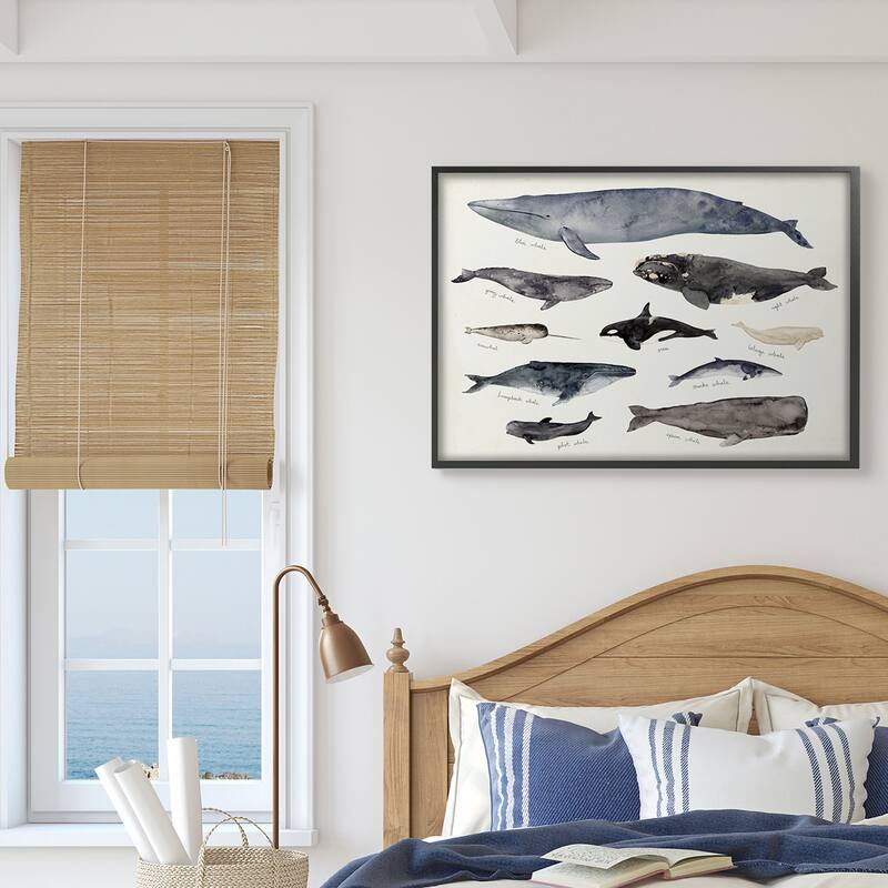 Stupell Vintage Nautical Chart of Whales Ocean LifeFramed Giclee Texturized Art by Victoria Barnes