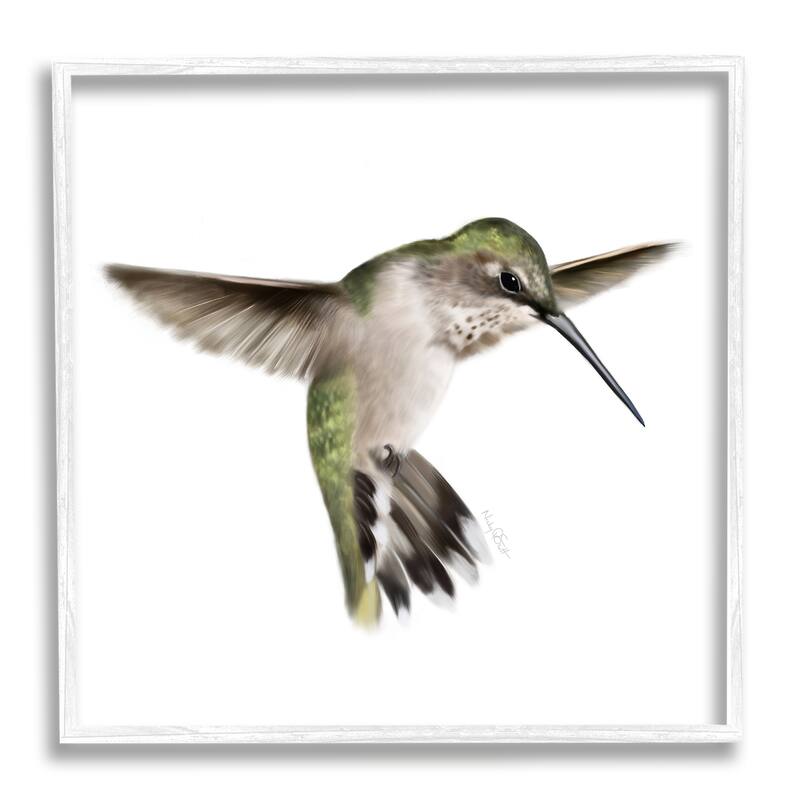 Stupell Green Hummingbird Hovering Wings Flying Bird Beak Framed Wall Art, Design by Studio Q - Multi - 24 x 24 - White