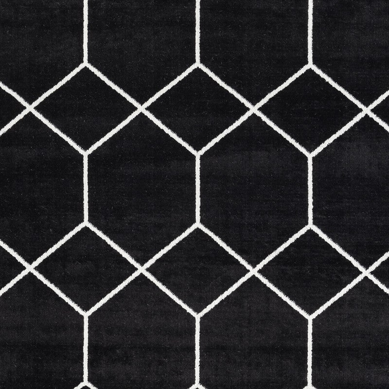 Trellis Geometric Woven Area Rug - 8'x10'
