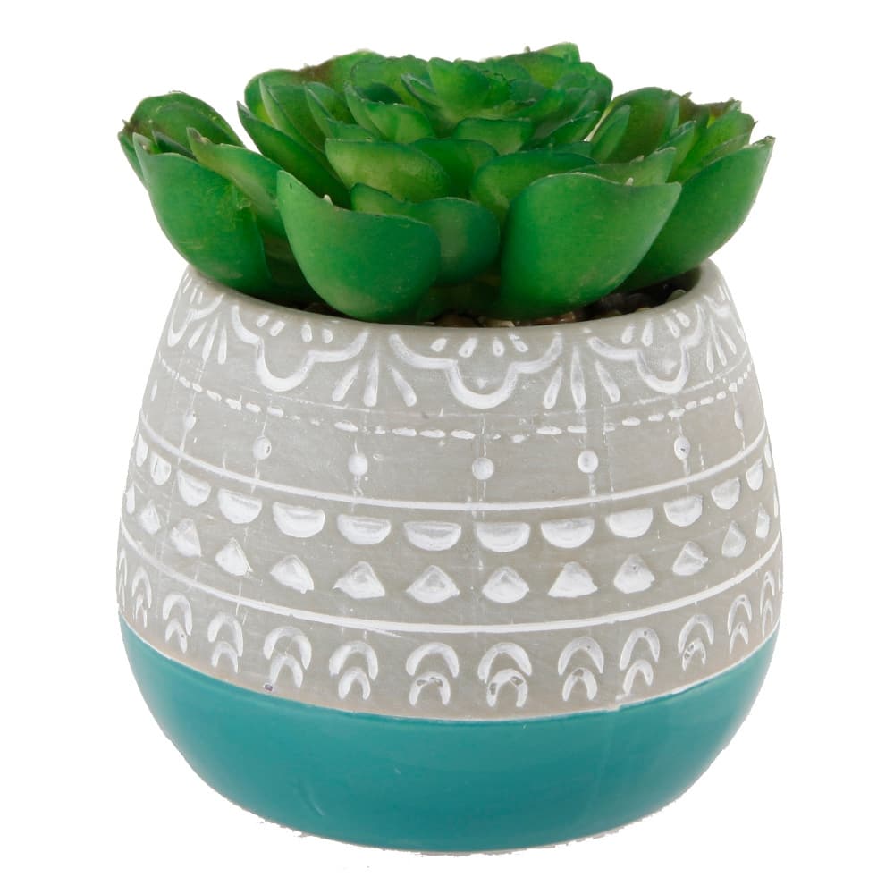 Succulent in 2 TONE Mayan CERAMIC POT,Pink - ONE-SIZE