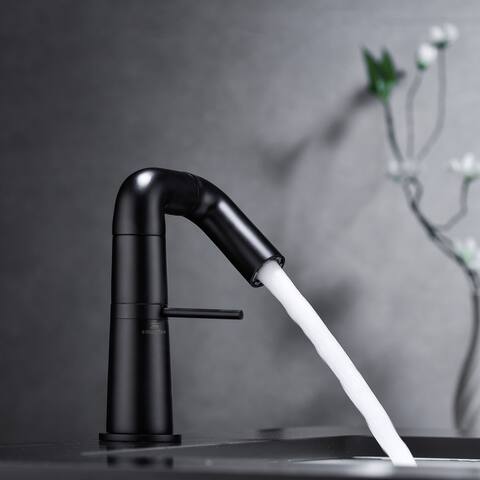 Single Hole Bathroom Sink Faucet By Assembly