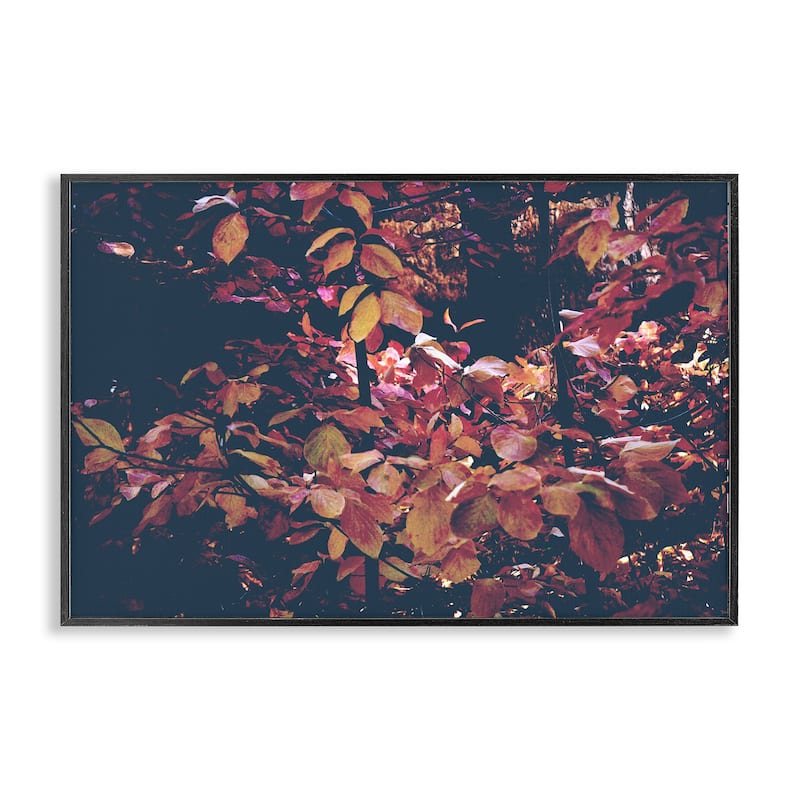 Stupell Dusky Forest Leaves Framed Giclee Art Design By Gemma Bardot - 30 x 20 - Black