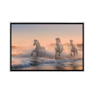 iCanvas "White Angels Of Camargue VI" by Daniel Kordan Framed - Bed ...