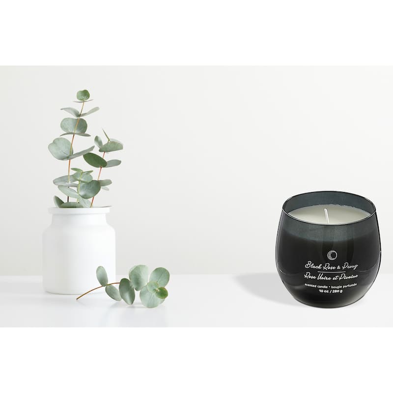 10Oz High Gloss Curved Candle Black Rose & Peony - N/A