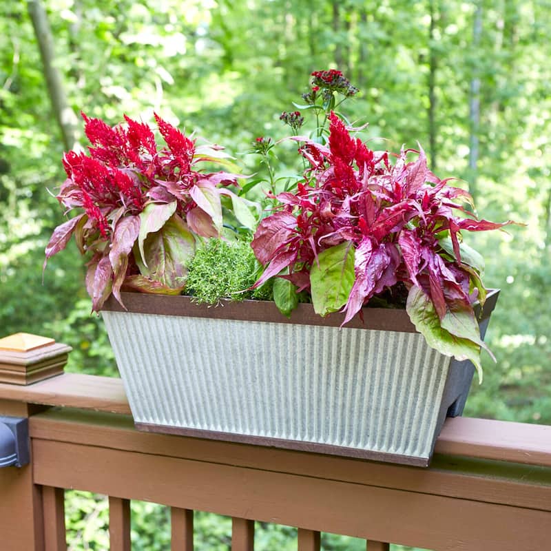 Southern Patio 24" Westlake Deck Rail Garden Resin Planter, Rustic Galvanized - 3.9