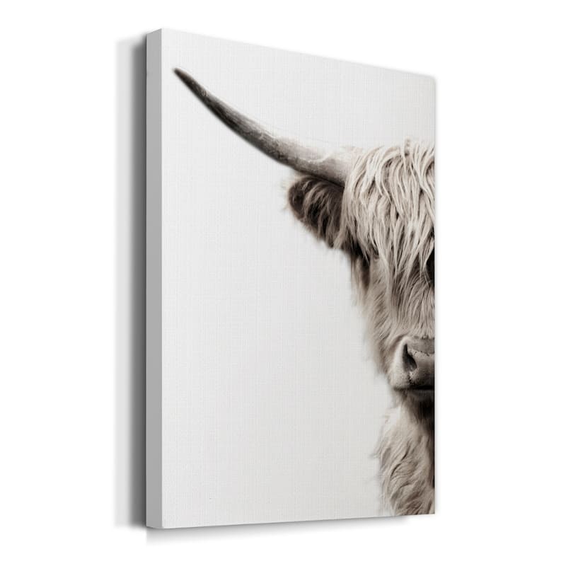 Highland Cattle Premium Gallery Wrapped Canvas - Ready to Hang