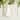 Villeroy & Boch Classic Embroidered Border Napkins, Set of 6 - 18x18