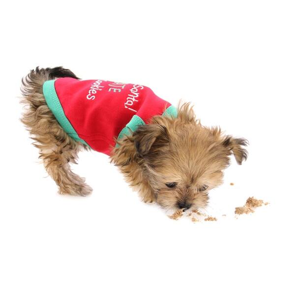 Shop Sorry Santa Holiday Dog Tank By Parisian Pet Red X Large