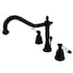 Option Oil Rubbed Bronze