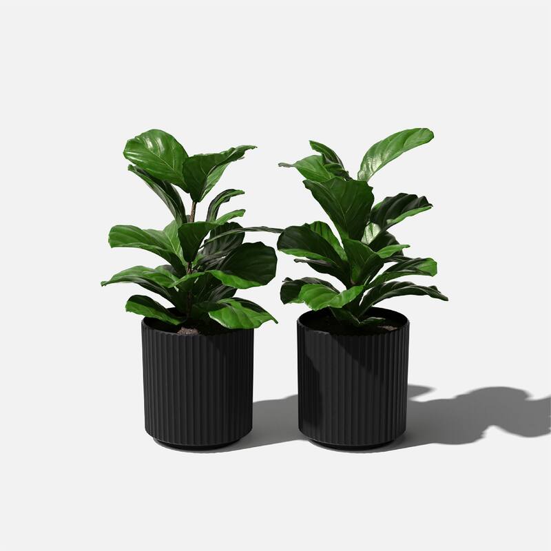 Veradek Demi Series Demi Round Planter