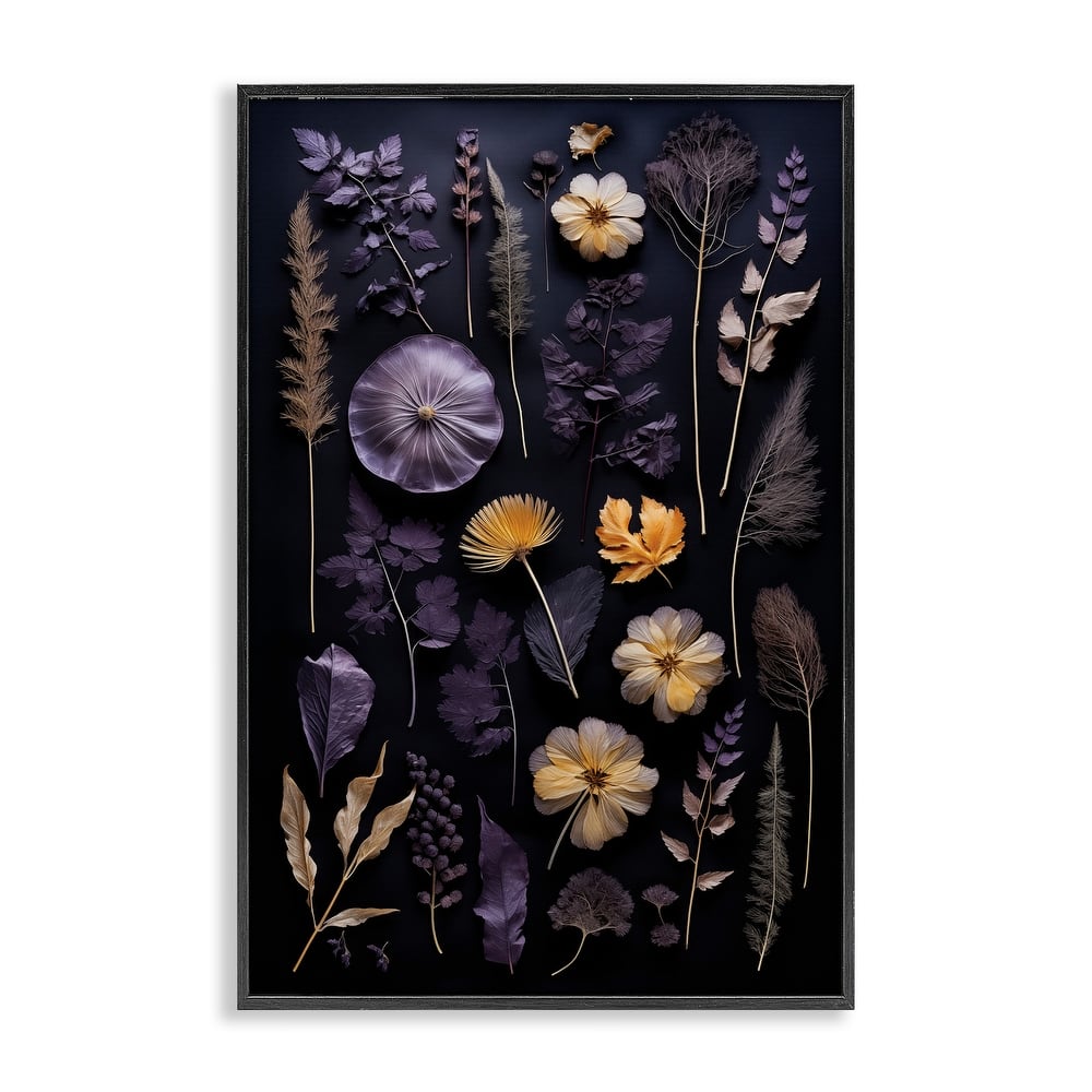 Stupell Flower Specimens on Black Framed Giclee Art Design By Heidi Kuntz