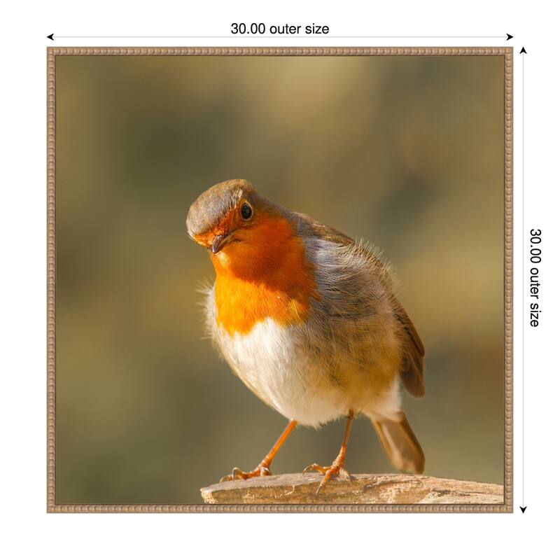 Whats up by Annie Keizer Framed Canvas Wall Art Print - 30 x 30 in