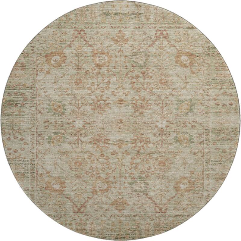 Premium Washable Super Soft Traditional Vintage Mayfield Rug