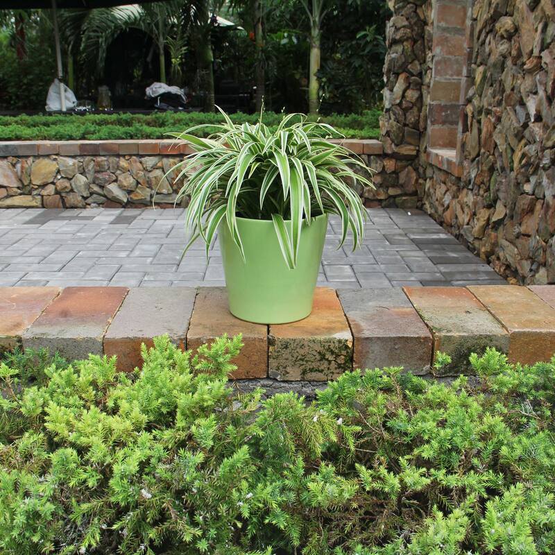 Chiffon Ceramic Planter 2-pack