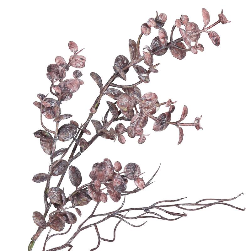 Set of 2 Frosted Burgundy Artificial Boxwood Leaf Stem Plant Greenery Foliage Bush 21in - 21" L x 12" W x 12" DP