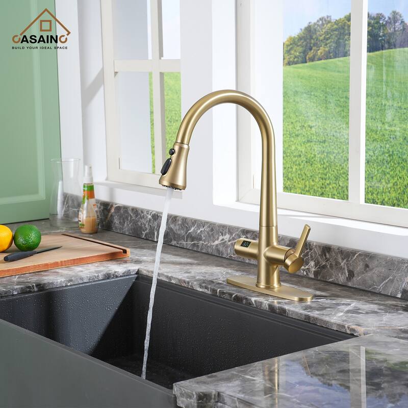 Single Handle Pull-Down Sprayer Kitchen Faucet