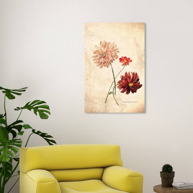 Wynwood Studio Canvas Floral and Botanical Chrysanthemum Botanical White and Vanilla Traditional Wall Art Canvas Print - 20 x 30