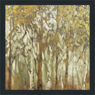 "Birch Grove West" by Carol Robinson Print on Acrylic