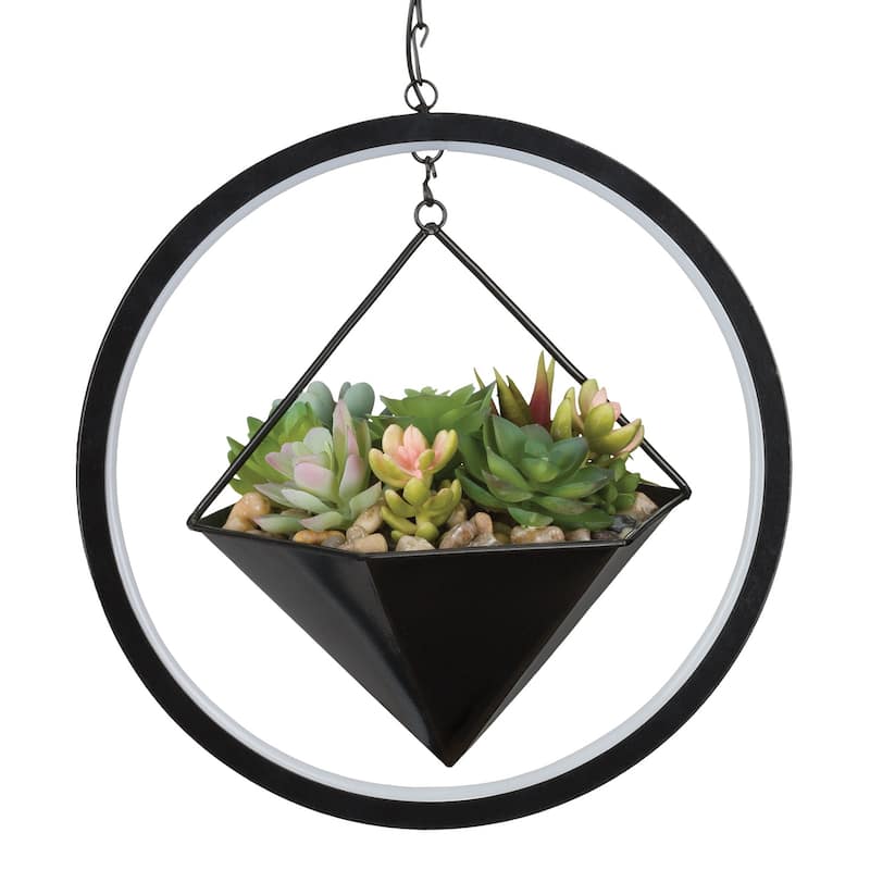 Lumen Succulent Solar Lantern - Hexagon