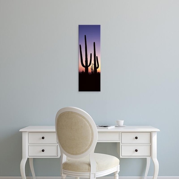 Easy Art Prints Panoramic Image 'Saguaro cacti, Saguaro National Park, Tucson, PimCounty, Arizona' Canvas Art
