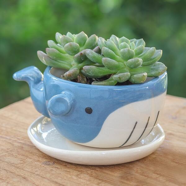 blue ceramic pots for plants Modern Round Glazed Blue Ceramic pottery with Drainage Hole and Saucer   Ancooly Shop