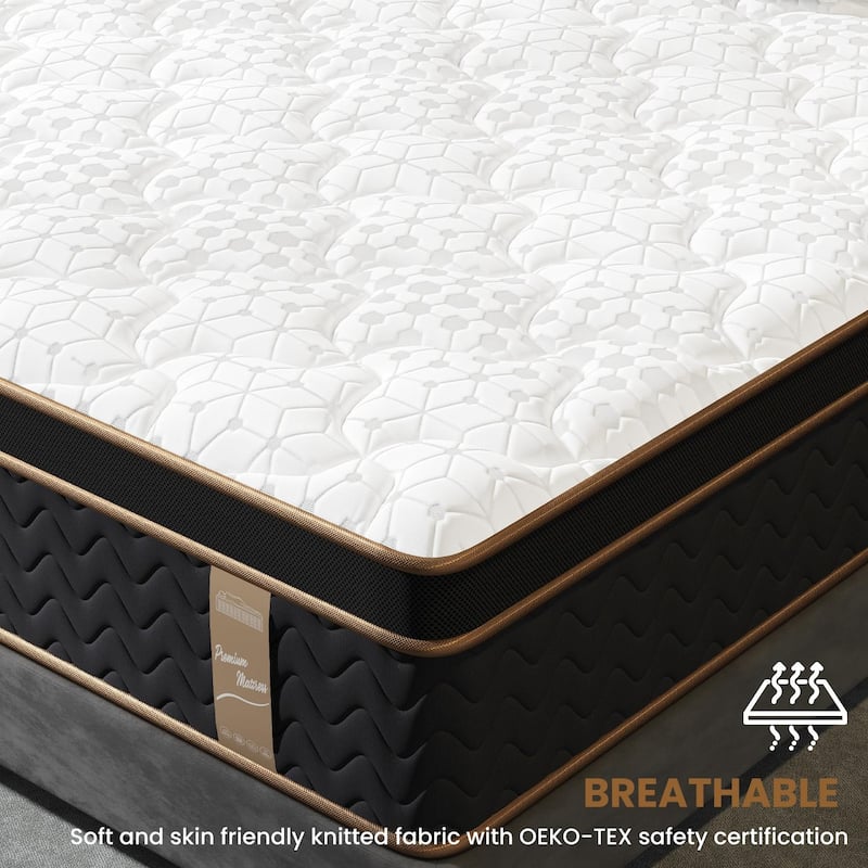 10" Queen Plush Mattresses with Encased Coils&Gel Memory Foam,Fiberglass-Free,Motion Isolation-Edge Support, Mattress in a Box