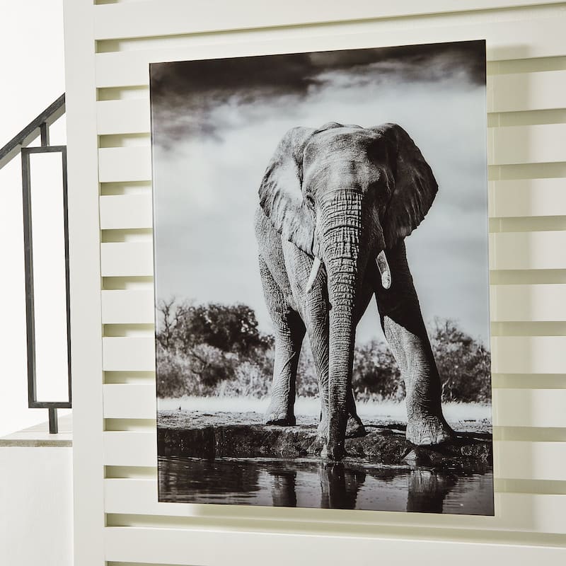 Signature Design by Ashley Glinyard Black/White Wall Art