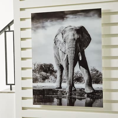 Signature Design by Ashley Glinyard Black/White Wall Art