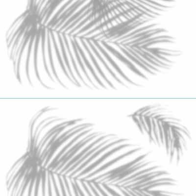 RoomMates Palm Shadow Peel And Stick Giant Wall Decals