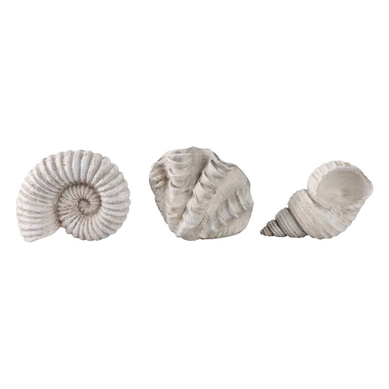 Polyresin Sculpture Coastal Shell Design (Set of 3) - 5/3" Ivory - 6.25" x 4.5" x 4.75"
