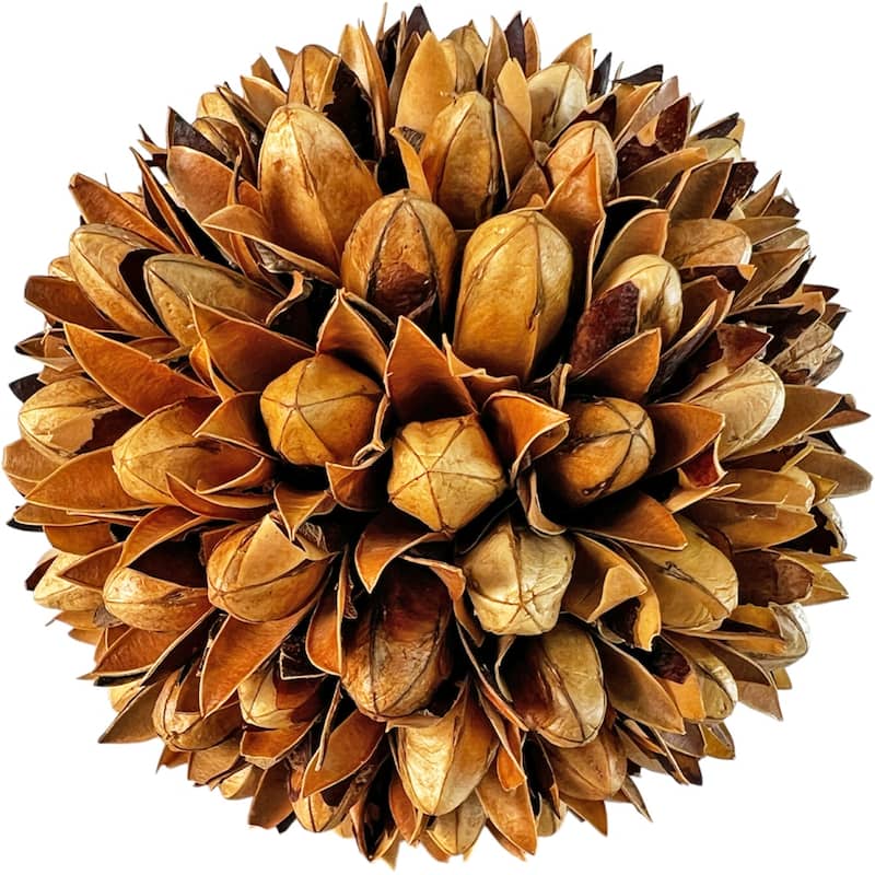 Handmade Natural & Preserved Topiary Balls Decorative Bowl Filler Orbs In Brown Botanical Accent Set Of 6 - 4x4x4 inch