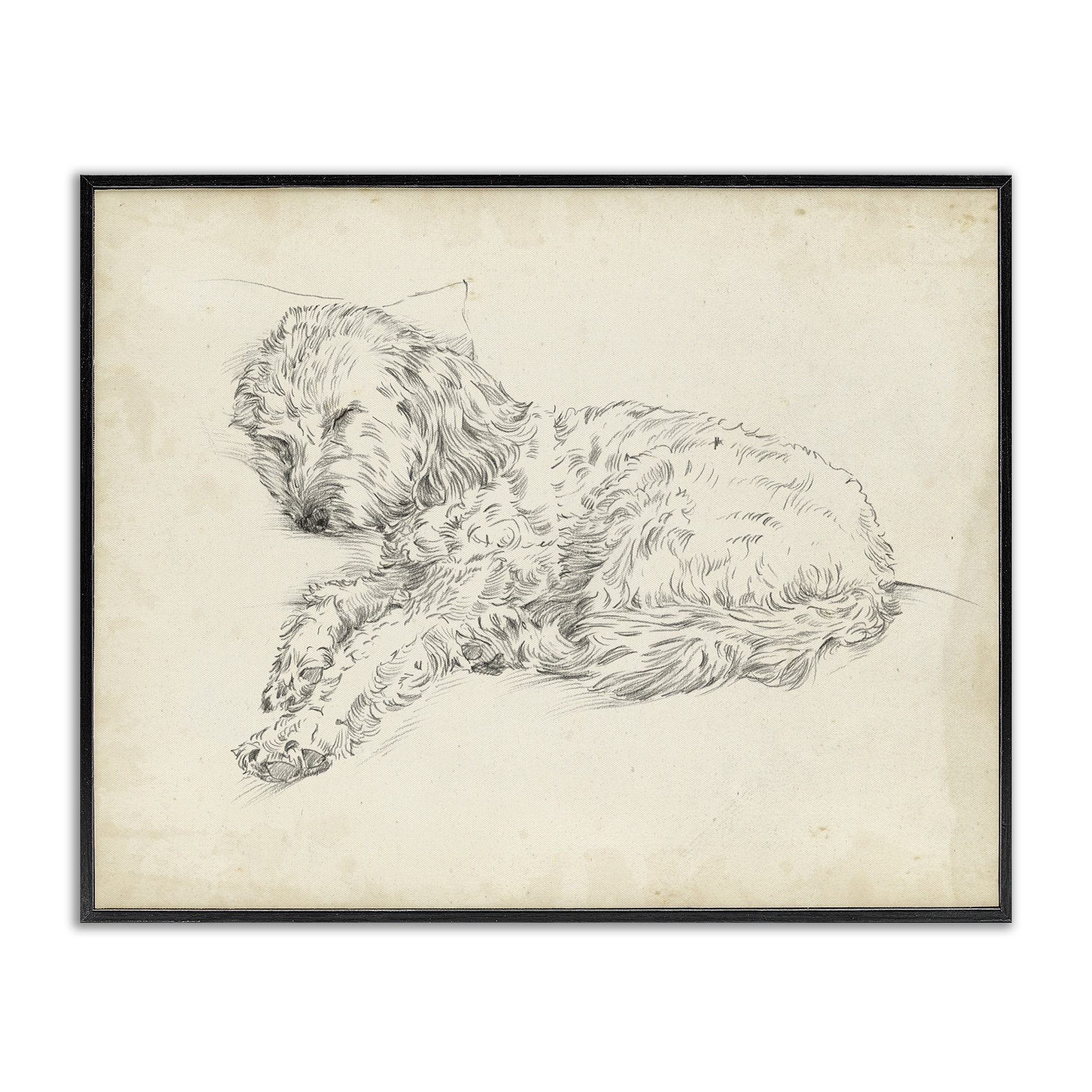 Stupell Antique Sleeping Dog Sketch Framed Giclee Art Design By Ethan Harper