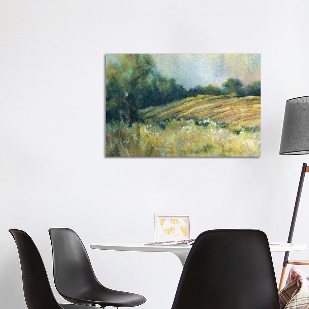 iCanvas "Pastoral Field" by Carol Robinson Canvas Print