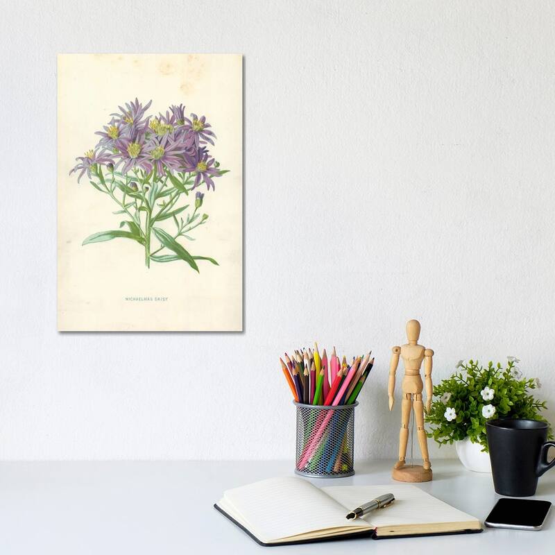 iCanvas "Michaelmas Daisy (Illustration From Familiar Garden Flowers, 1st Series)" by Frederick Edward Hulme Canvas Print - 12x8x0.75