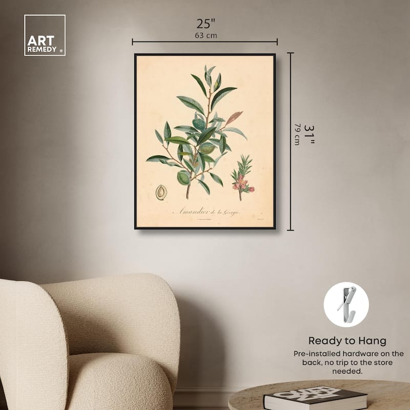 Almond of Georgia I Canvas by Art Remedy