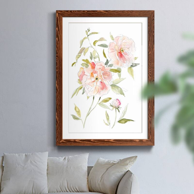 Sketchbook Cottage Rose II-Premium Framed Print - Ready to Hang