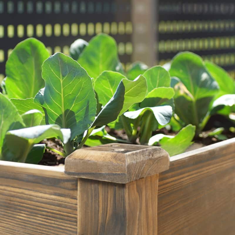 VEIKOUS Wood Raised Garden Bed Planter Box with Four Wheels and Legs, 46.8''W x 22.4''D x 33''H