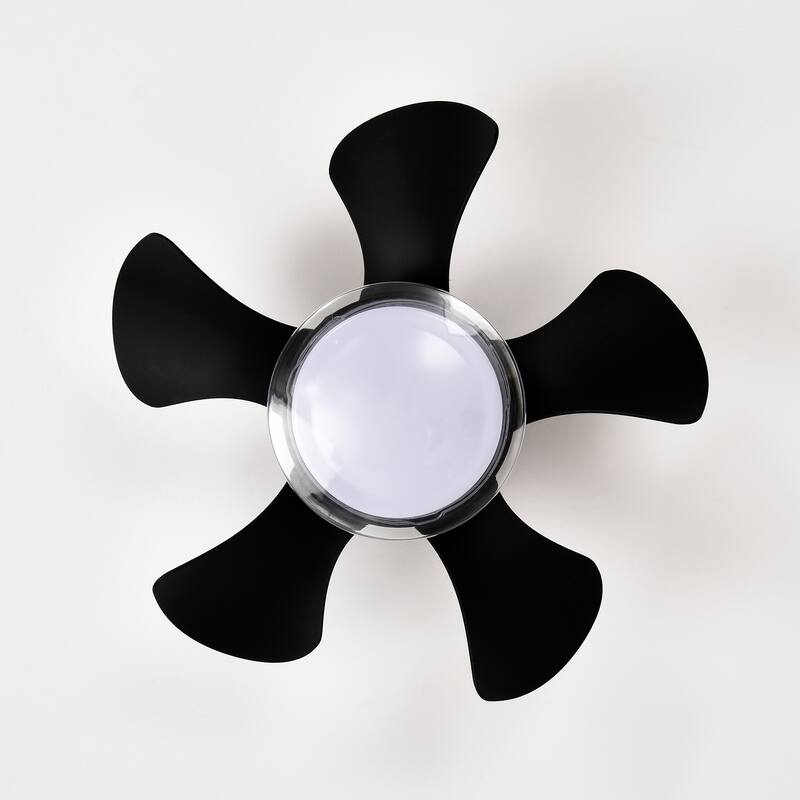 Flush Mount Ceiling Fan with 3 Color Temperatures Light & 6-Speed Remote Control DC Motor, Timer Function