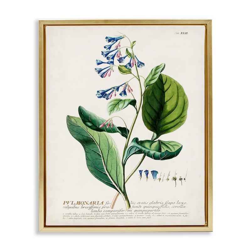 Stupell Botanical Plant Illustration Blue Flowers Vintage Design Floater Frame - Green - 17 x 21 - Gold
