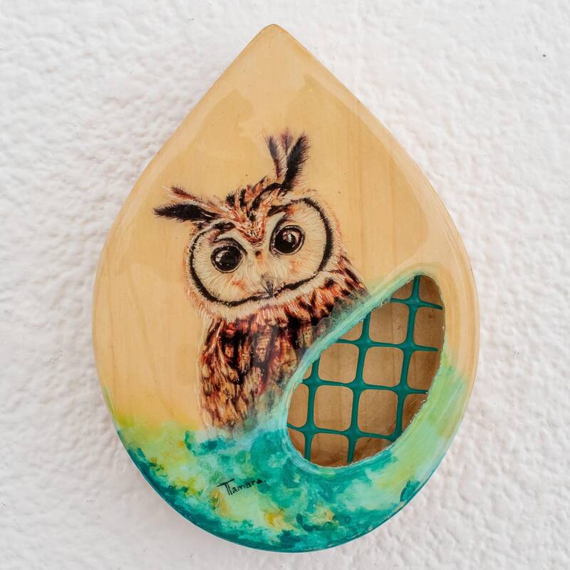 Novica Handmade Owl Nature Wood Wall-Mounted Planter