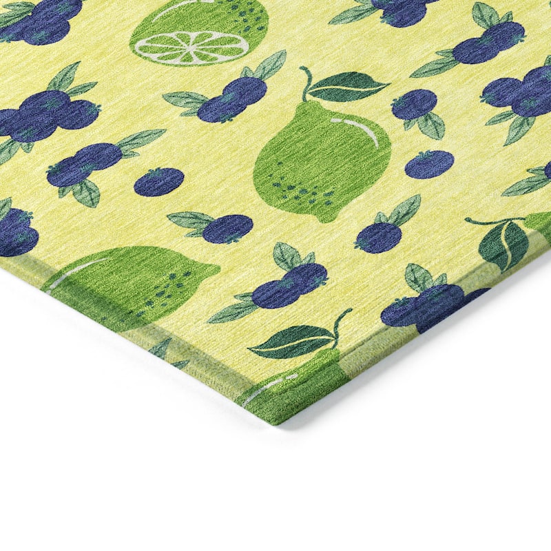 Machine Washable Indoor/ Outdoor Citrus Berry Chantille Rug