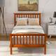Option Walnut