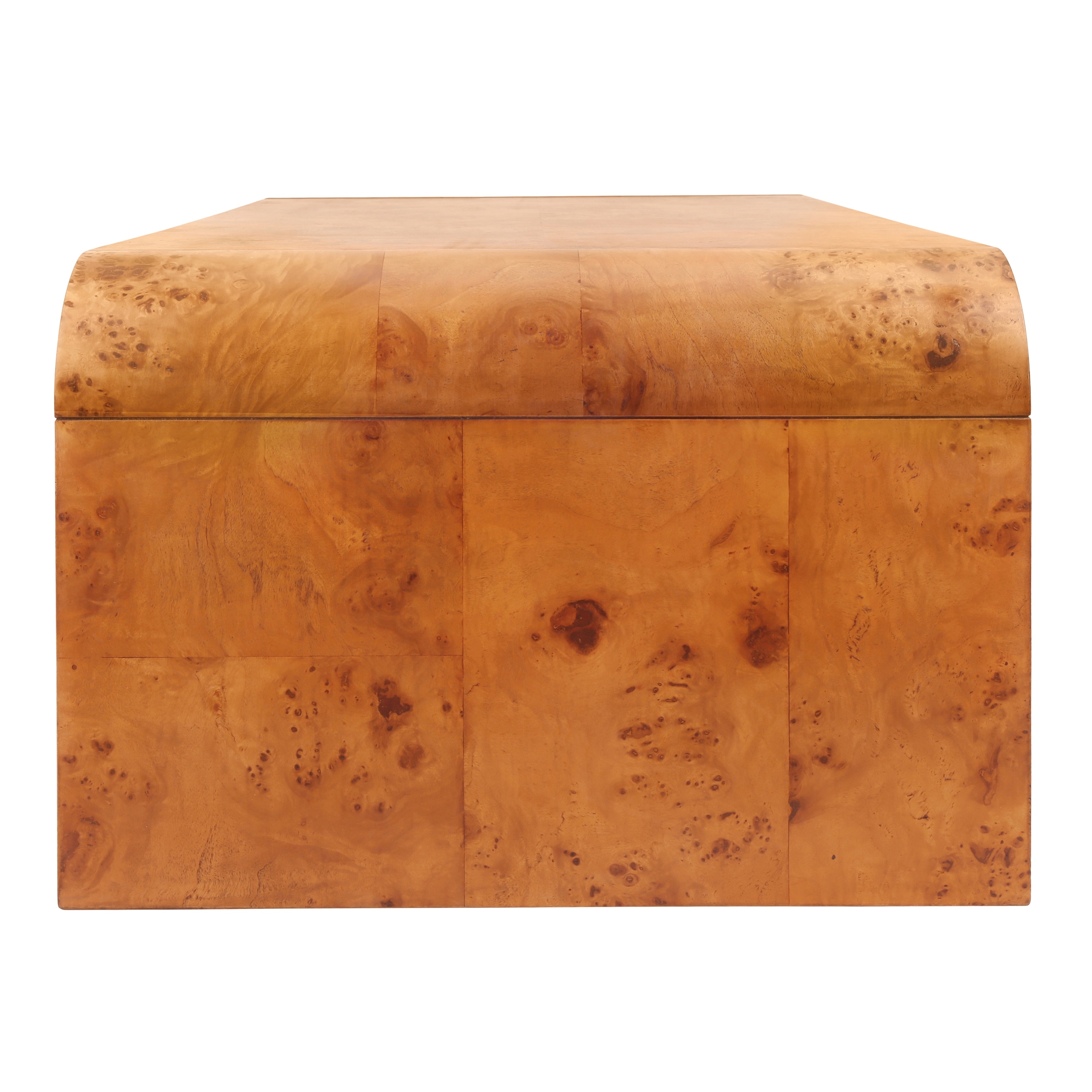 NPD Furniture Adriel Burl Wood Coffee Table