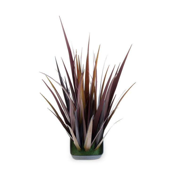 Redwood Grass