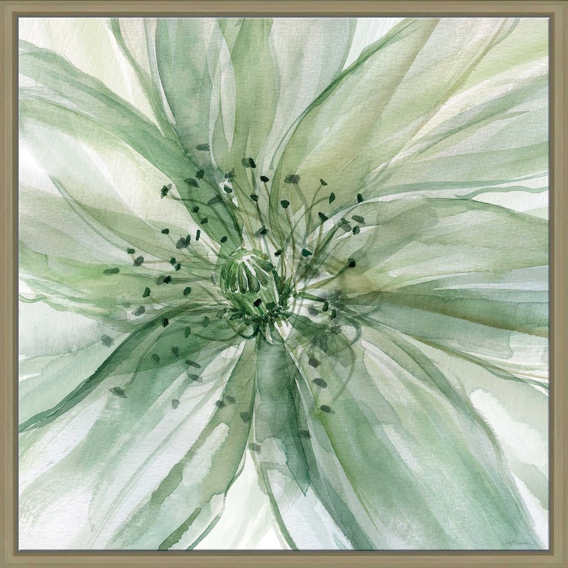 "Macro Sage Flower II" by Carol Robinson Print on Floating Canvas