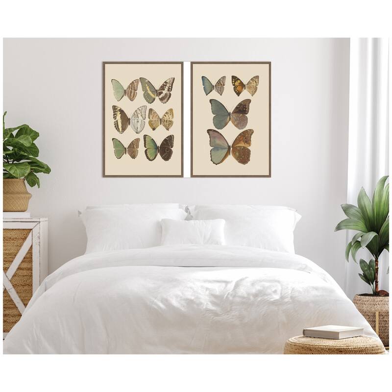 Kate and Laurel Exotische schmetterlinge Otto Staudinger 2 Piece Framed Canvas Wall Art Set by Nostalgia Prints