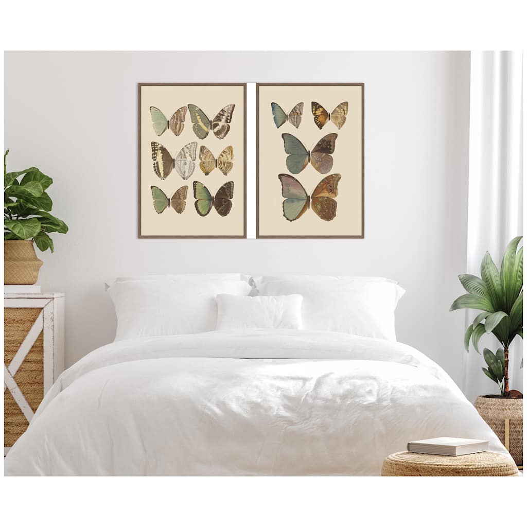 Kate and Laurel Exotische schmetterlinge Otto Staudinger 2 Piece Framed Canvas Wall Art Set by Nostalgia Prints